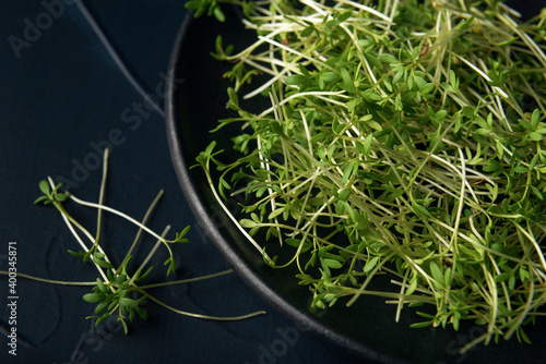 Black plate with watercress microgreens on dark textured background