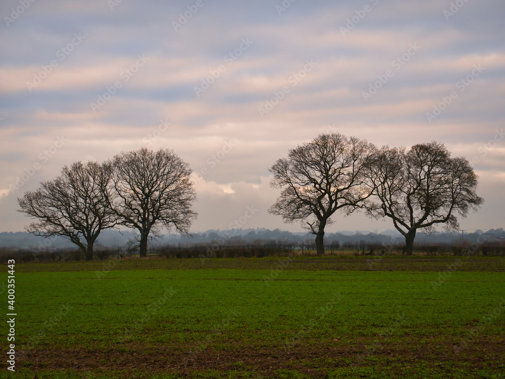 Arable farmland and silhouetted leafless trees at dusk at the end of a cold winter day with mist forming. Taken in Cheshire, England, UK.