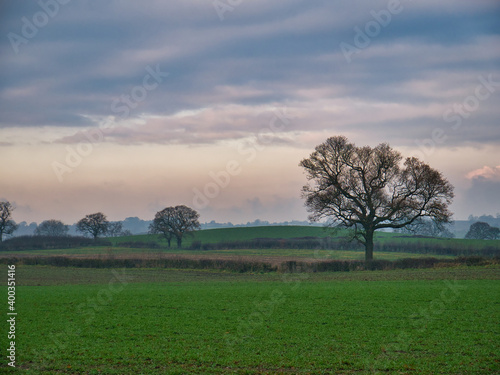 Arable farmland and silhouetted leafless trees at dusk at the end of a cold winter day with mist forming. Taken in Cheshire, England, UK. © Alan
