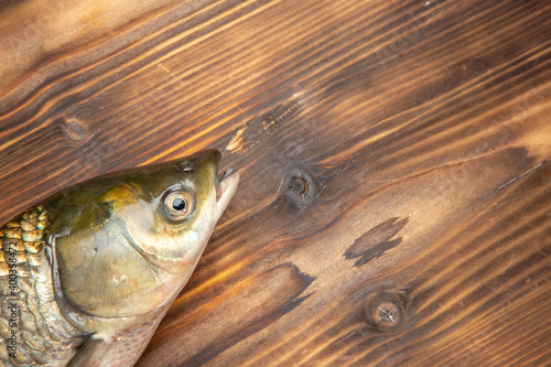 top view fresh fish raw product on wooden desk fish sea meat ocean food photo