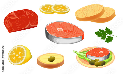 Cut salmon slice. Salmon steak isolated on white background.  Vectors.