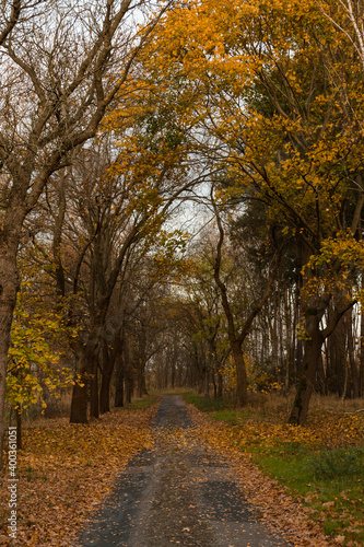 Herbstspaziergang