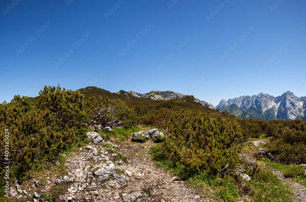 Panorama view from mountain Peterskoepfl to Kaisergebirge in Tyrol, Austria