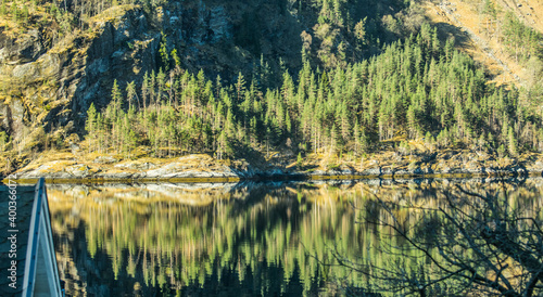 Fototapeta Naklejka Na Ścianę i Meble -  Reflected mountain forest through the fjord lake
