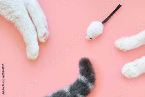 Paws of a white cat and gray tail with black stripes on pastel pink background. Nearby is a white toy mouse. View from above. Pet care concept. Copyspace, minimalism. ..