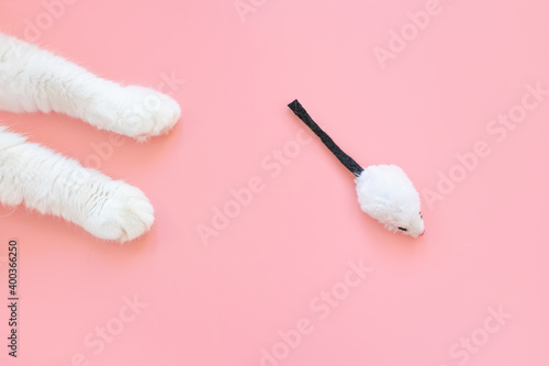 White cat legs and a toy mouse. Pink background  copy space  top view. Concept of games and entertainment for pets.