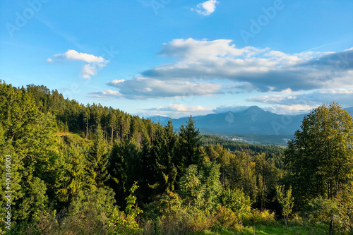 Nice view of the green forest against the background of mountains and blue sky.