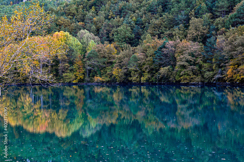 autumn in the forest © Sara