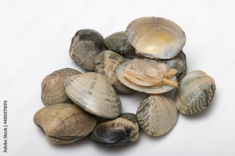 set of slimy and thin clams
