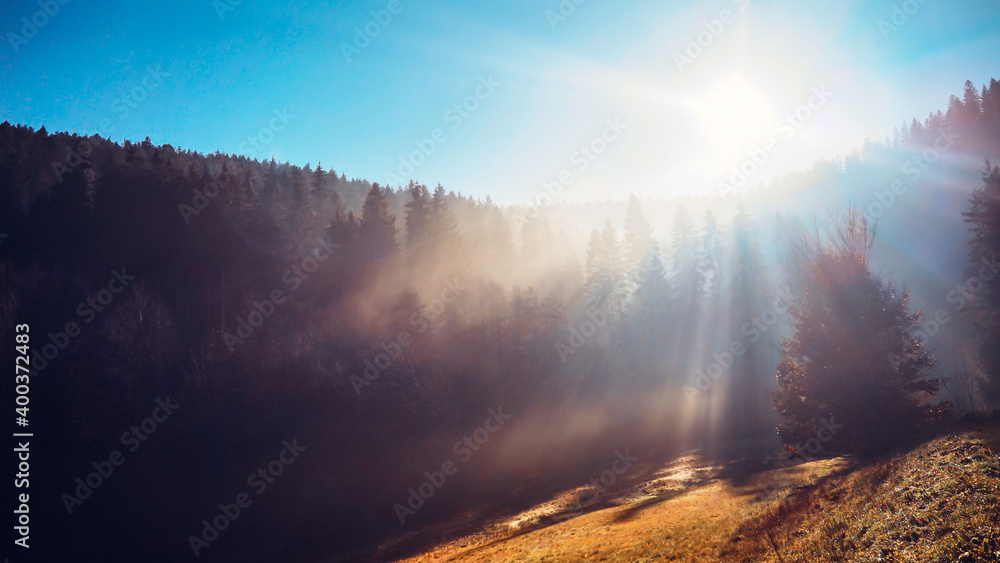 Schwarzwald Landschaft Panorama - Sonnenstrahlen mit Nebel im Wald mit blauem Himmel und Sonnenschein am Morgen