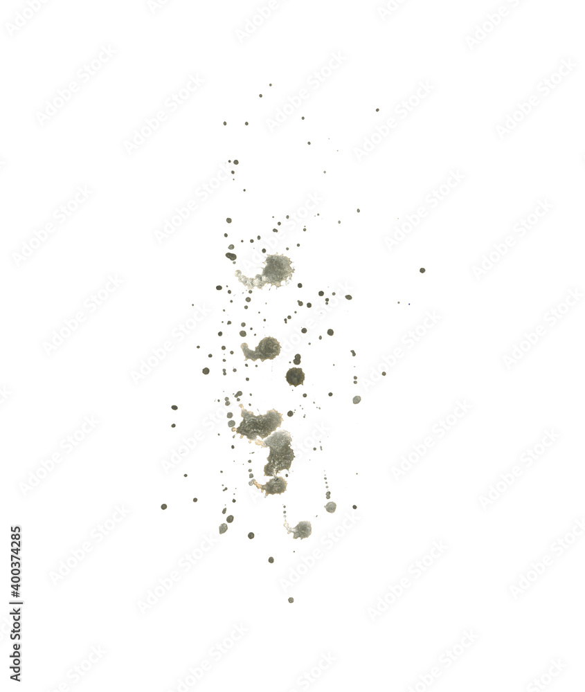 Obraz premium Watercolor golden gray splashes and paint spots isolated on a white background. Spray. wet drops of liquid