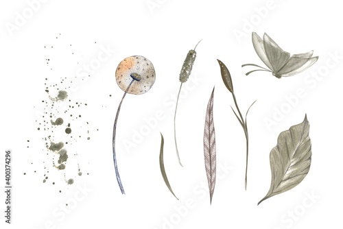 Watercolor vintage collection of golden spring herbs, dandelions and butterfly. Watercolor splashes and meadow grasses.