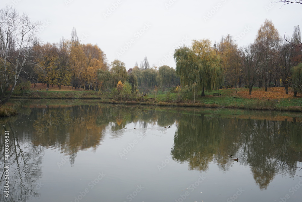 reflection of trees in the water reflection of trees in the water