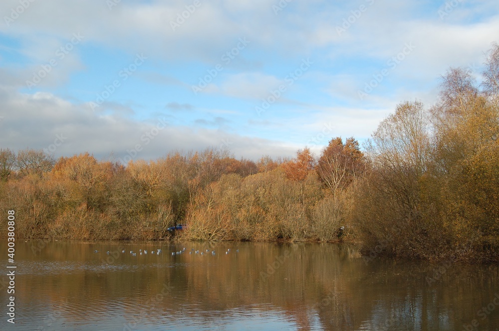 autumn in the park