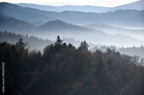 Bergpanorama im Schwarzwald im Gegenlicht