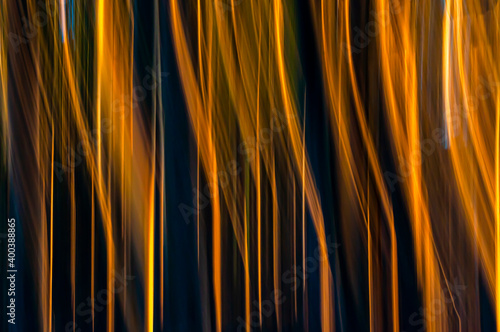 Barrido abstracto para fondo bosque amarillo azul naranja