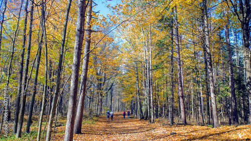 Fall path