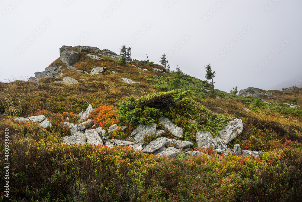 Beautiful mountain landscapes with colorful vegetation.