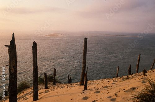 Dune du Pilat  R  serve du Banc d Arguin  Bassin d Arcachon  Landes de Gascogne  33  Gironde