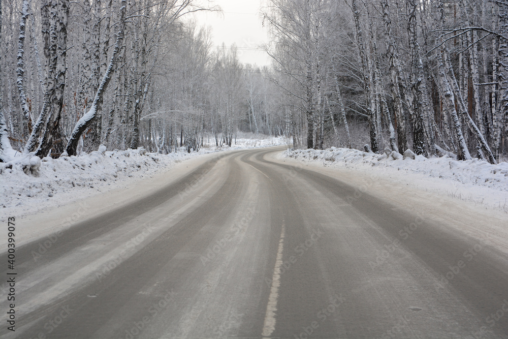 Snow-covered road in a snow-covered pine forest