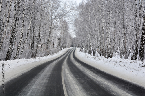 Snow-covered road in a snow-covered pine forest