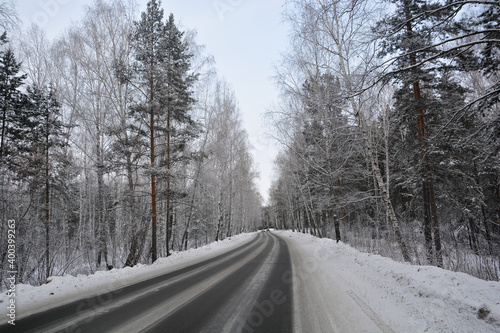 Snow-covered road in a snow-covered pine forest © Shrayner