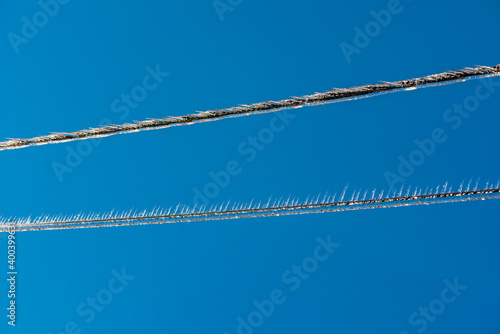 Ice rain series: icicles on two wires on blue sky background