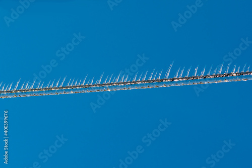 Ice rain series: icicles on a wire on blue sky background