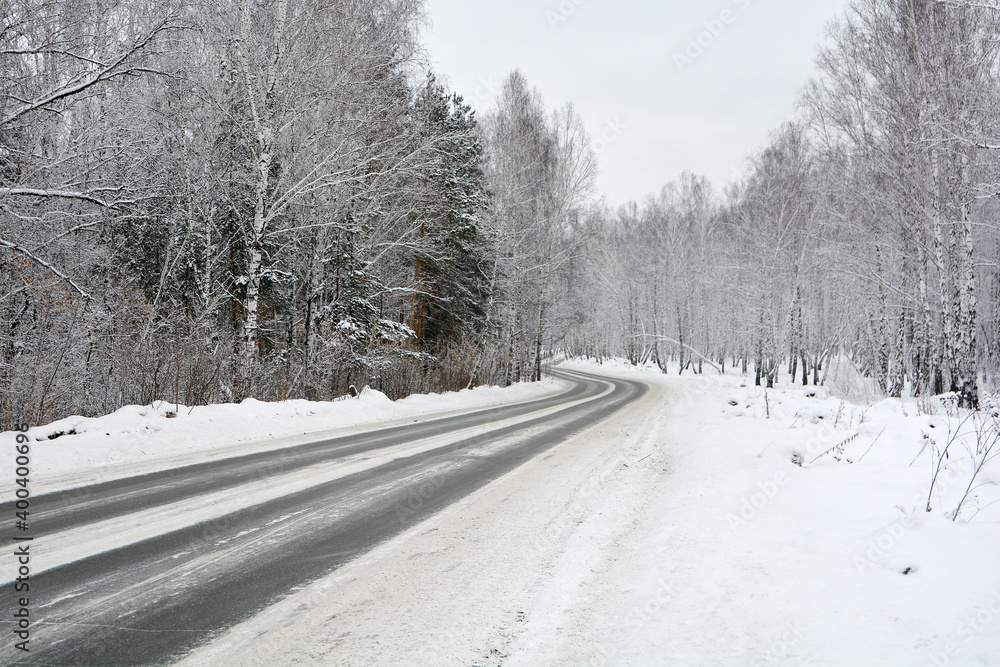 Snow-covered road in a pine forest Snow-covered road in a pine forest