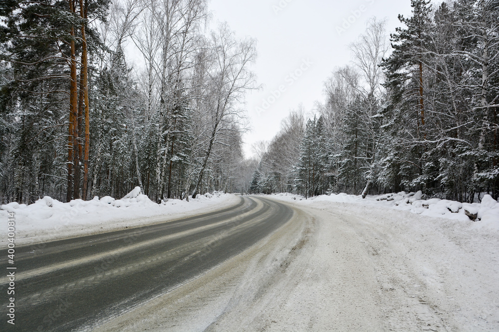 Snow-covered road in a pine forest Snow-covered road in a pine forest