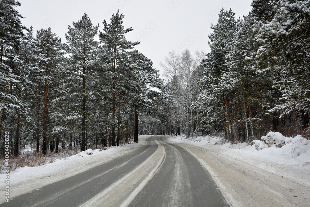 Snow-covered road in a pine forest Snow-covered road in a pine forest