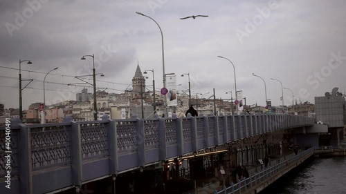 Seagull flying on the Golden Horn in Istanbul (slow motion)