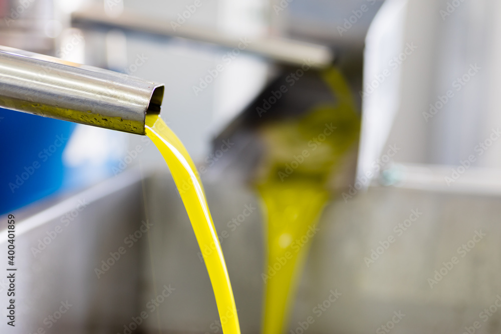 Produzione olio extra vergine di oliva