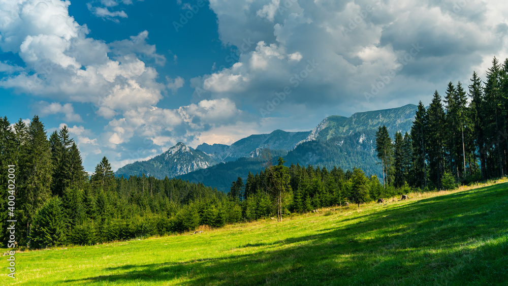 Germany, Allgaeu, Dark clouds and dramatic sky above peaks of alps mountains and green trees in summer on sunny day
