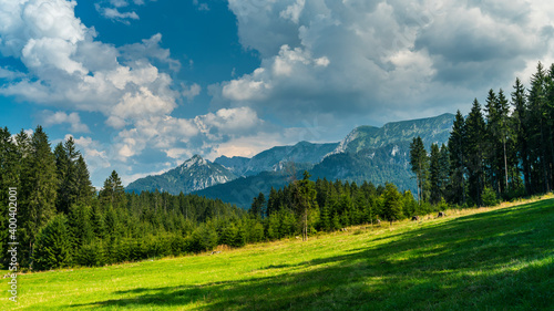 Germany, Allgaeu, Dark clouds and dramatic sky above peaks of alps mountains and green trees in summer on sunny day