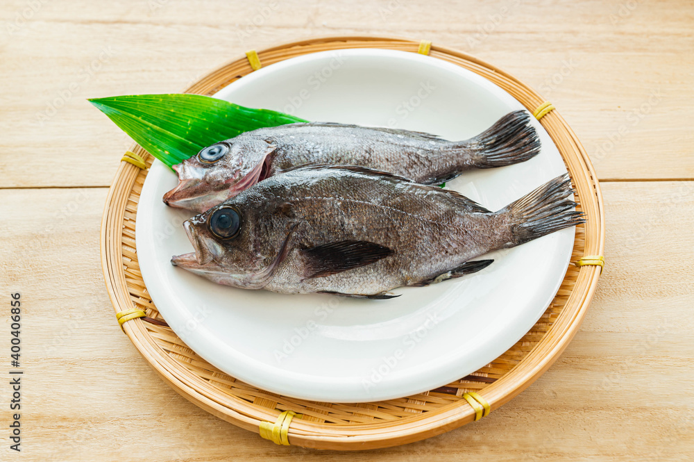 生のメバル