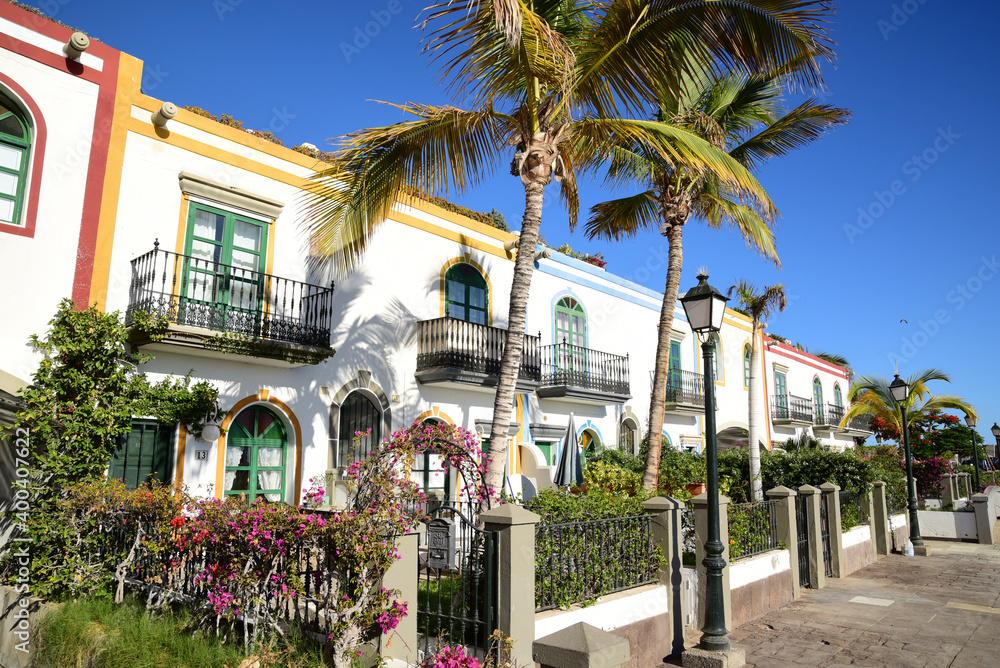 Puerto de Mogan Palmen