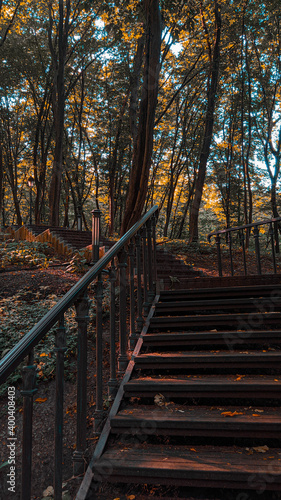 stairs in autumn park