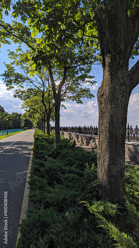 path in the park