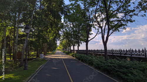 road to the park