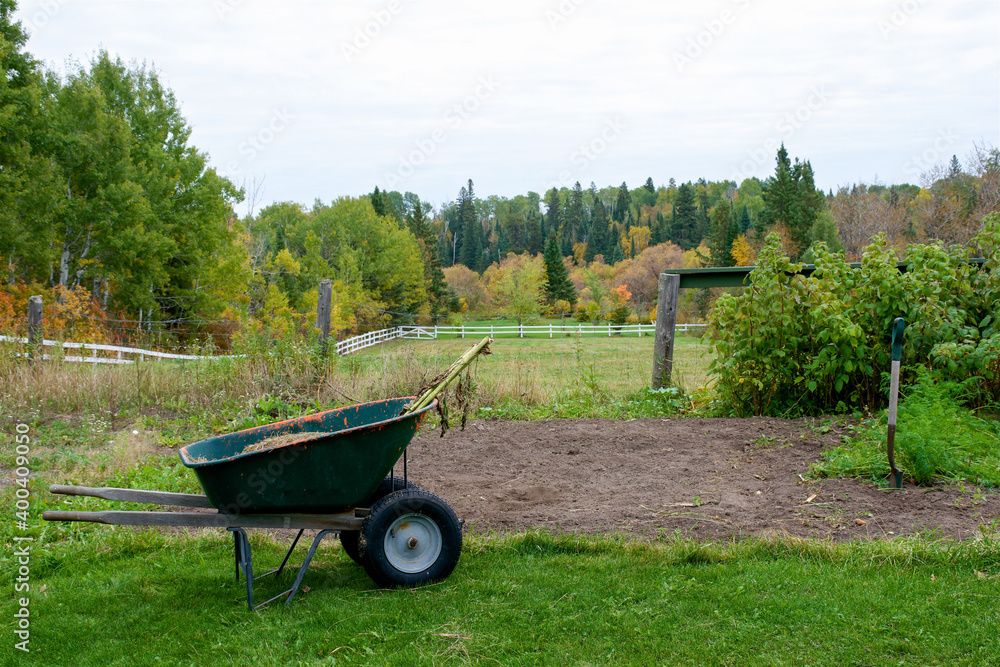 Autumn Harvest of the Garden is Completed
Autumn Harvest of the Garden is Completed