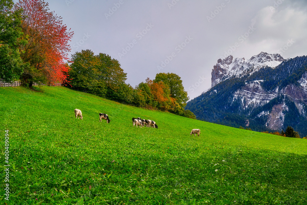 On a green meadow, the Alps, Dolomites, Italy around the town of Santa Magdalena