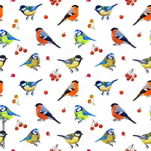 Colorful digital pattern with forest birds and red berries. White background. © Elena