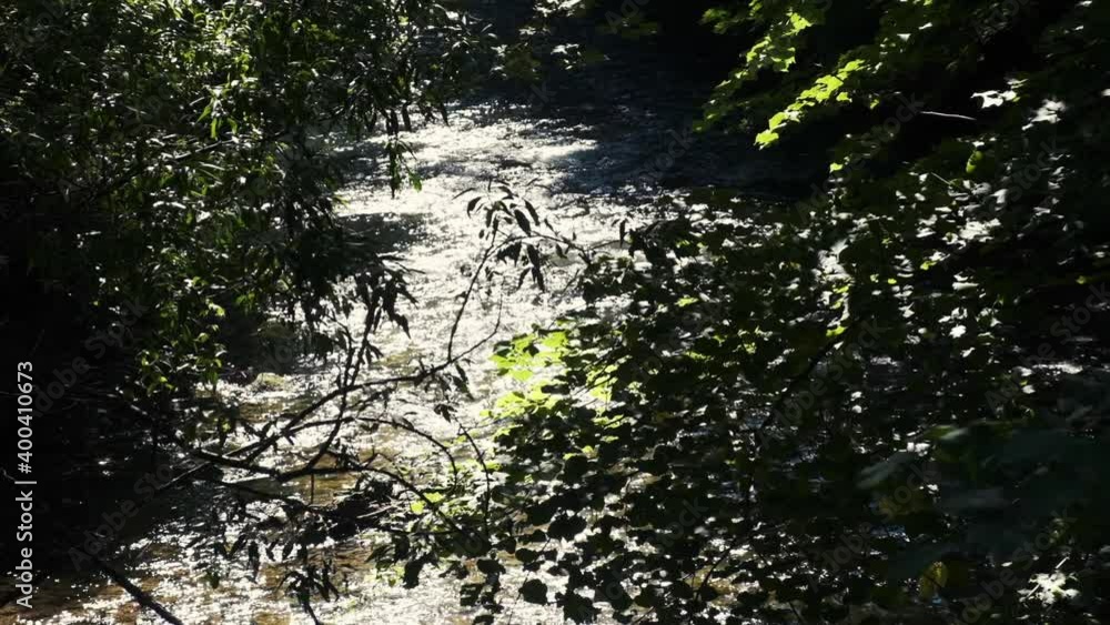 beautiful river in green forest.summer morning beautiful river in green forest.summer morning