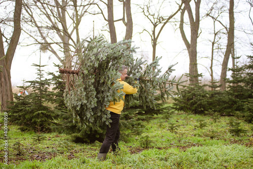 Ein Mann fällt einen Weihnachtsbaum