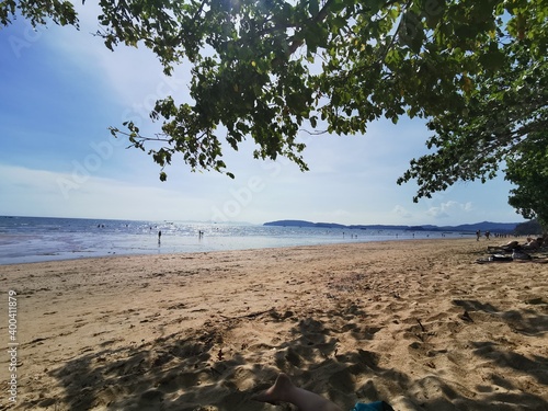 In the shadow of the tree