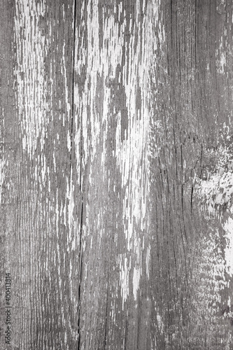 background of an old white painted wooden plank 