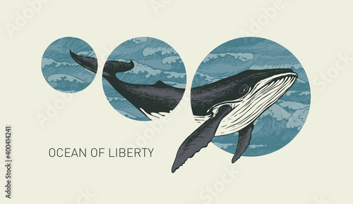Hand-drawn banner with a big whale and circles with sea waves. Vector illustration on the theme of travel, adventure and discovery in retro style with the words Ocean of liberty on a light background