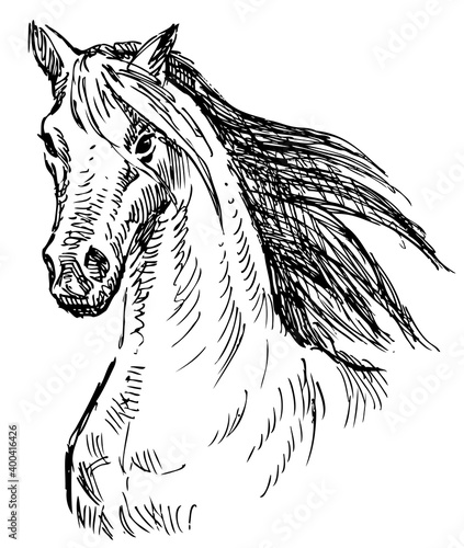 Sketch of head running horse