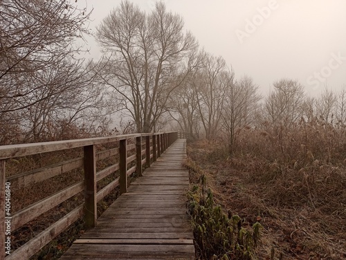 path in the woods © Agnieszka